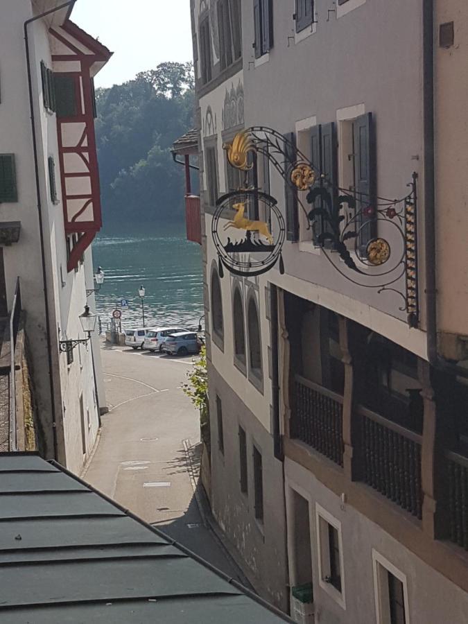Rhii B&B Eglisau Εξωτερικό φωτογραφία